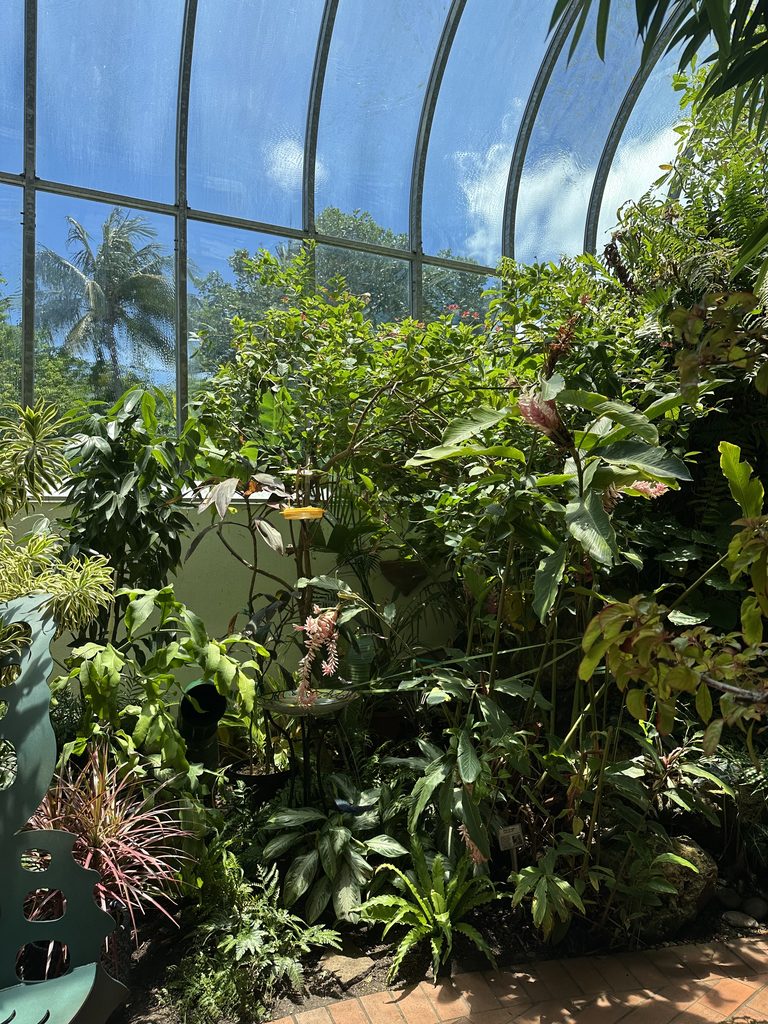 Key West Butterfly Garden Indoor Elopement Location