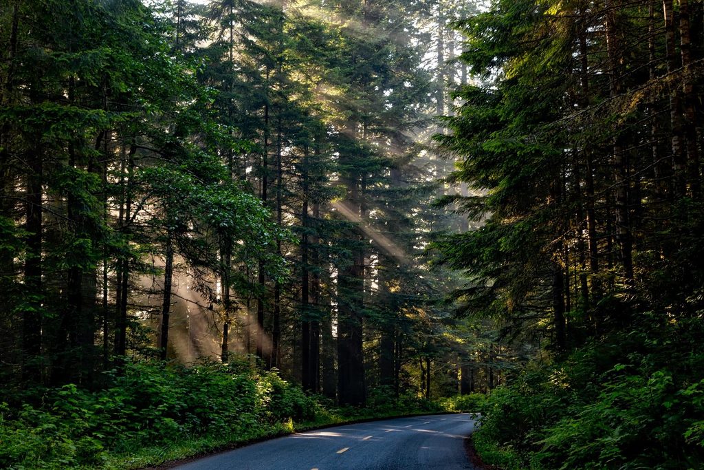 California one of the best places to elope in the US