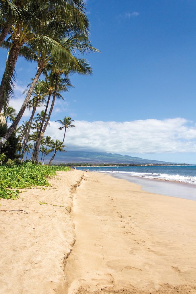 Hawaii one of the best places to elope in the US
