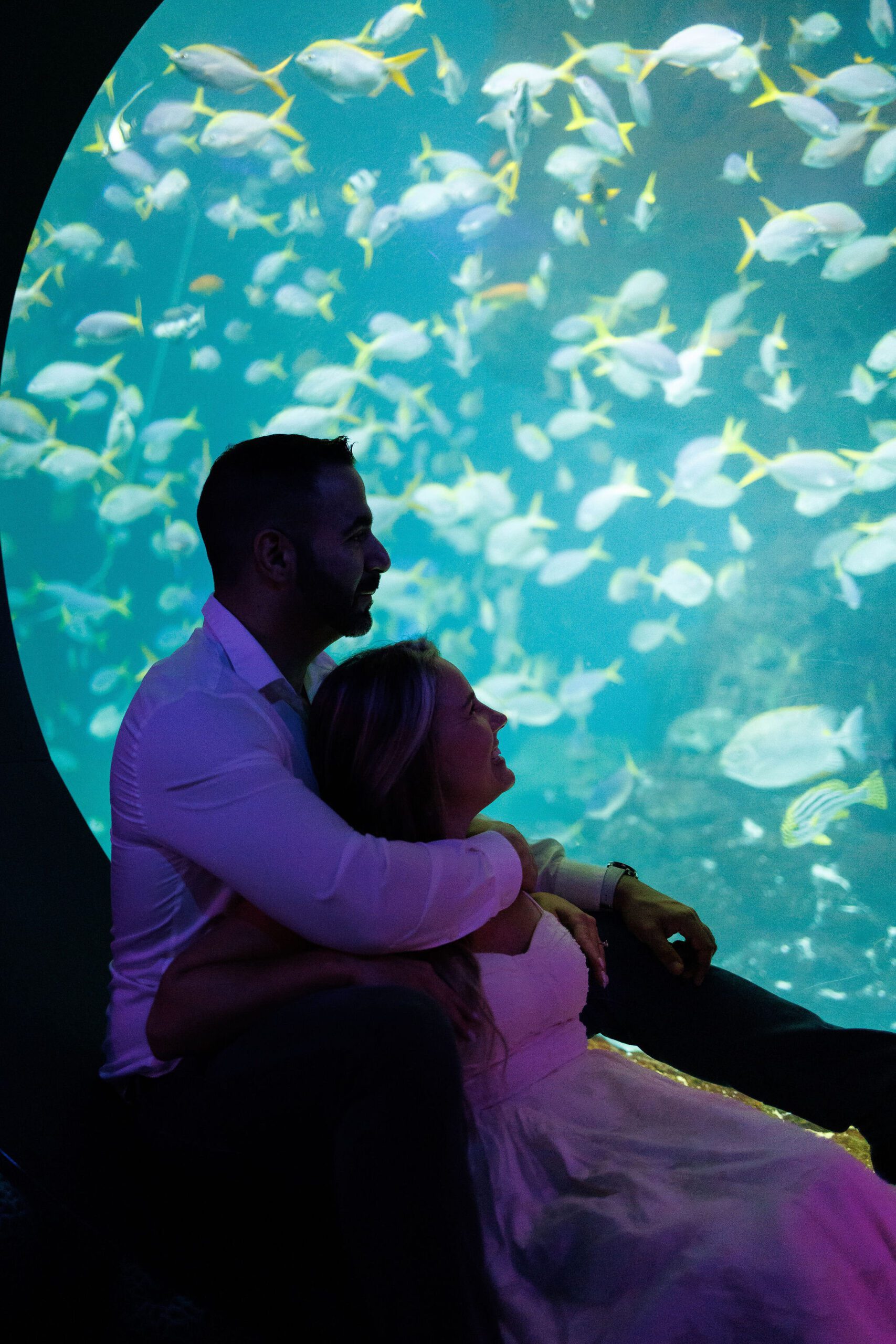 Couple enjoying the aquarium together during a Florida elopement photoshoot.